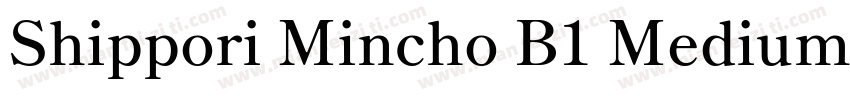 Shippori Mincho B1 Medium字体转换